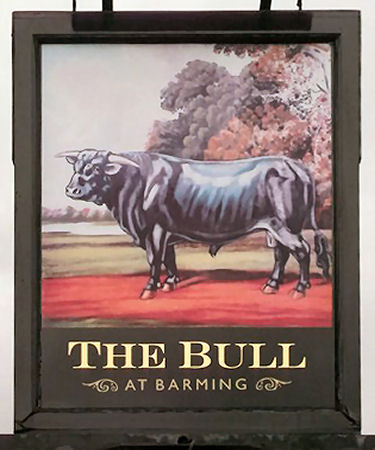 Bull sign 2013