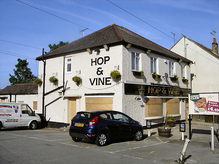 Hop and Vine