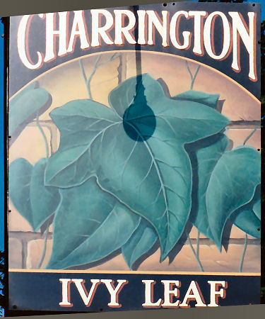 Ivy Leaf sign 1991