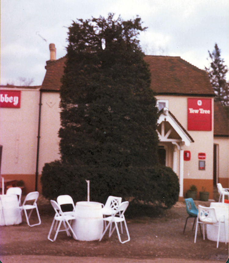 Yew Tree 1978