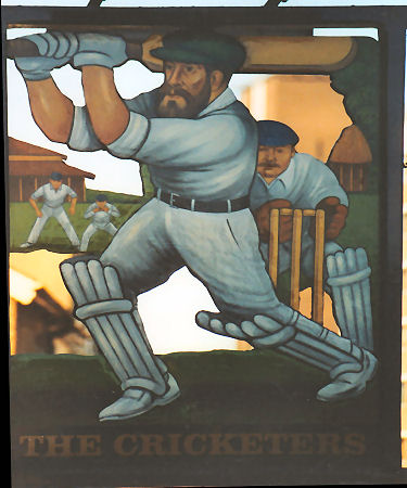 Cricketer's sign 2005