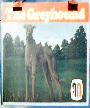 Greyhound sign 1986