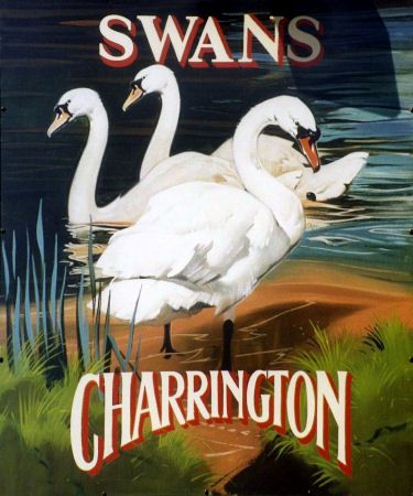 Swans sign 1991