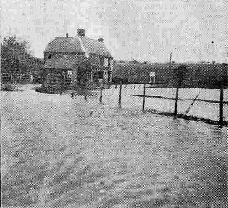 Black Robin floods 1928