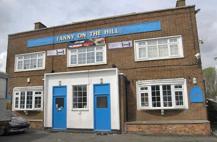 Fanny on the Hill 2014