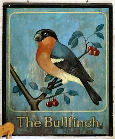Bullfinch sign