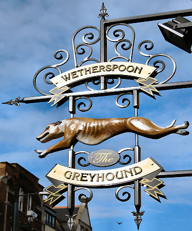 Greyhound sign 2011