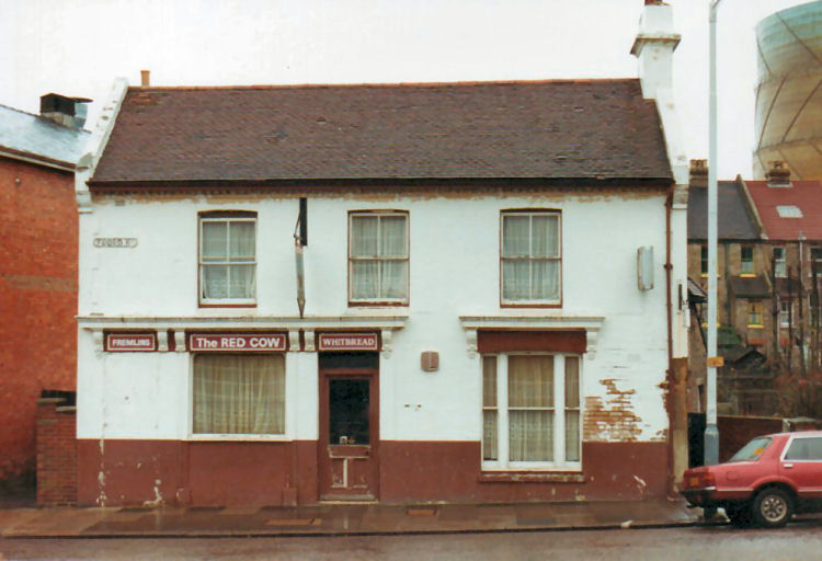 Red Cow 1983