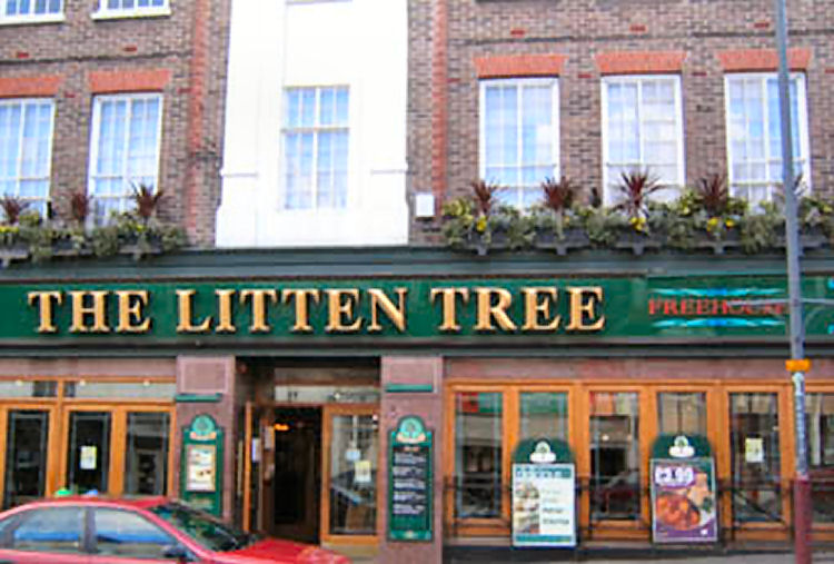 Litten Tree 2000
