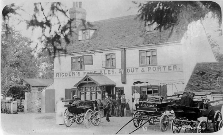 Rose and Crown 1903
