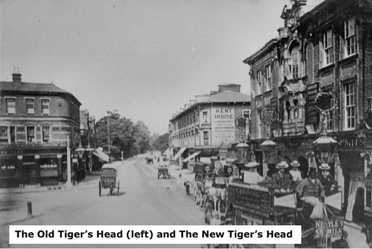 Old Tiger's Head
