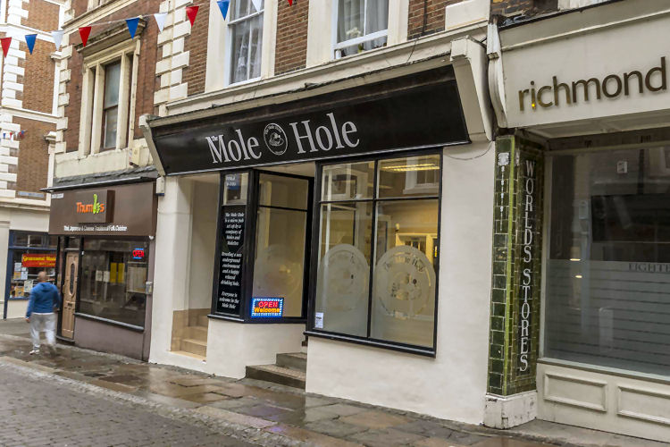 Mole Hole 2019