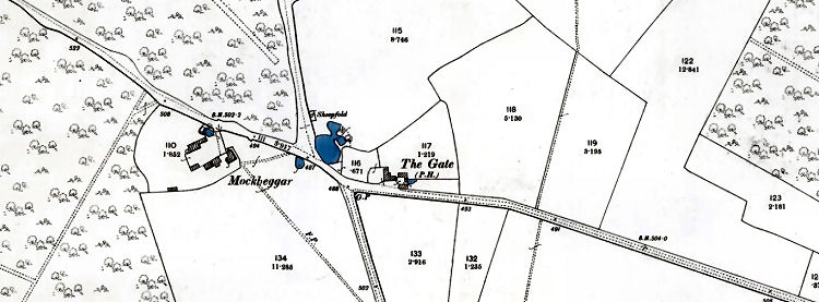 Rhodes Minnis map 1896