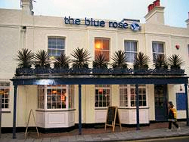 Blue Rose 2002