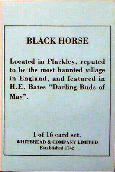 Black Horse card