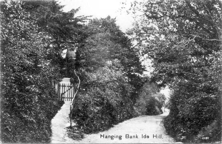 Hanging Banks 1960