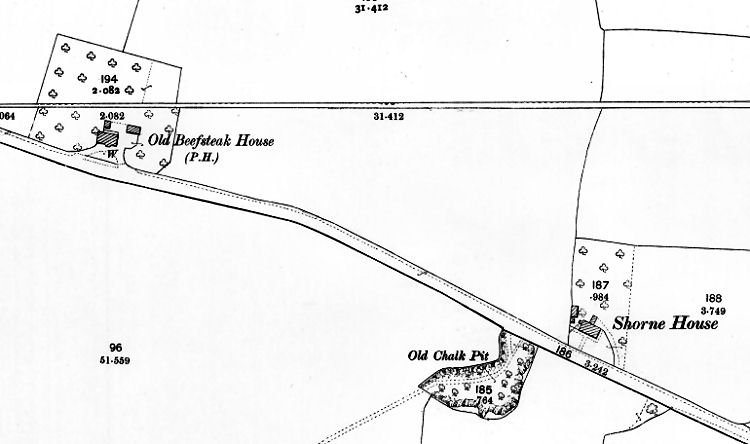 Shorne map 1895