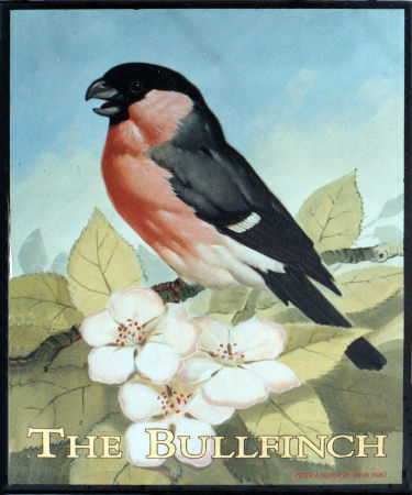 Bullfinch sign 1993