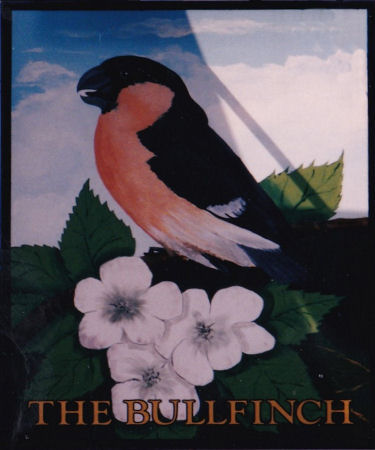 Bullfinch sign 2003