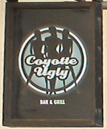 Coyotte Ugly sign 2012