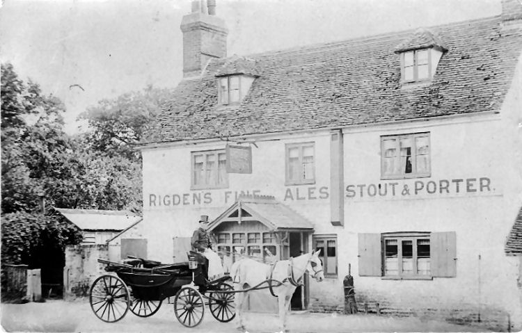 Rose and Crown 1903