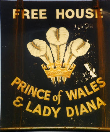 Prince of Wales and Lady Diana sign 1991