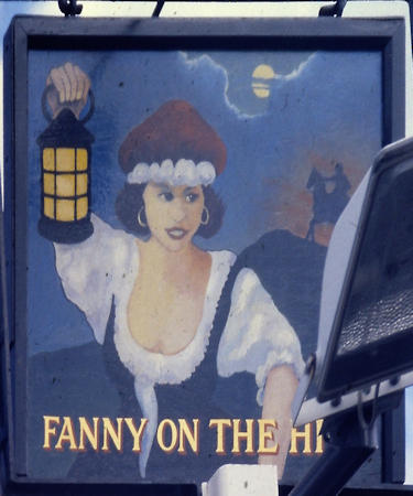 Fanny on the Hill sign 1999