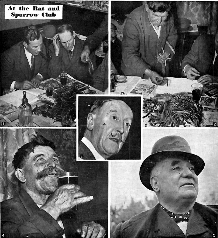 Five Bells Sparrow Club 1939