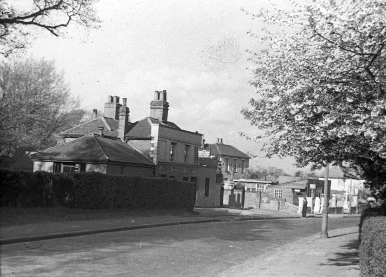 Horse and Groom 1958