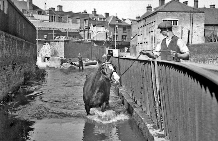 Water Lane