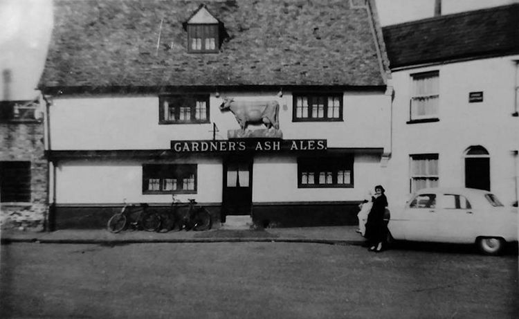 Red Cow 1958