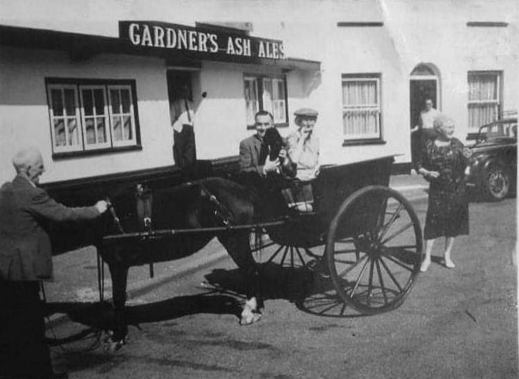 Red Cow 1950s