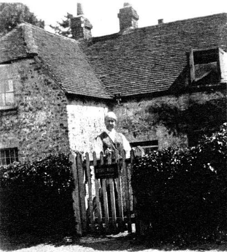 Walnut Tree 1929