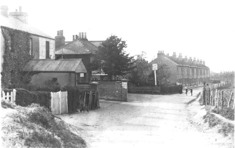 Black Horse and Fruit Cart 1909