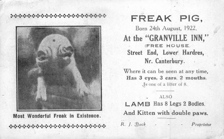 Granville pig 1922