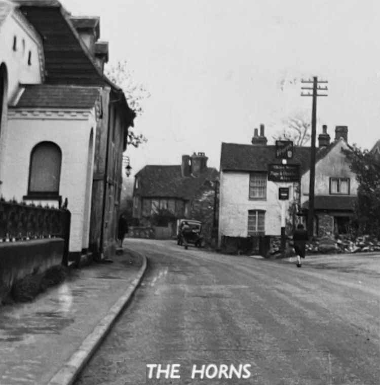 Horns 1954