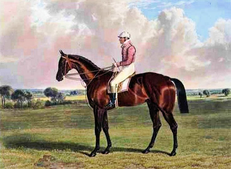Little Wonder racehorse 1840