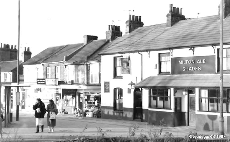 Milton Als Shades 1987