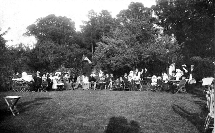 Running Horse tea gardens 1908