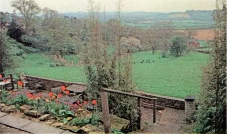 Spotted Dog garden 1988