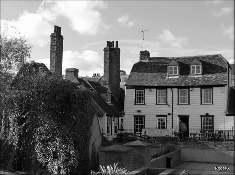 Three Daws garden 2024