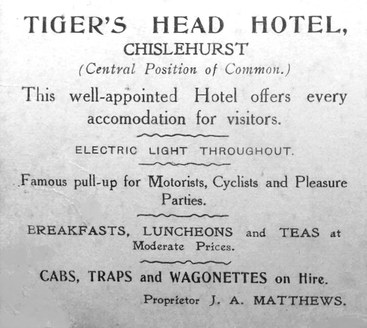 Tiger's Head card 1904