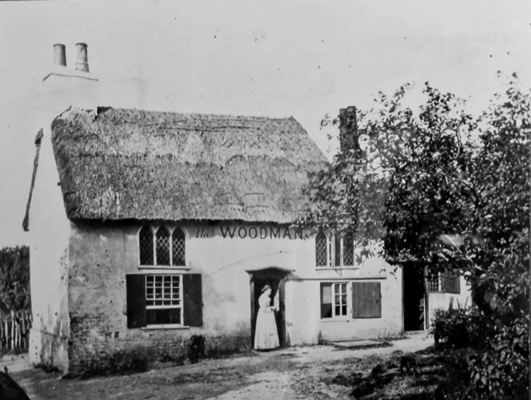 Woodman 1875