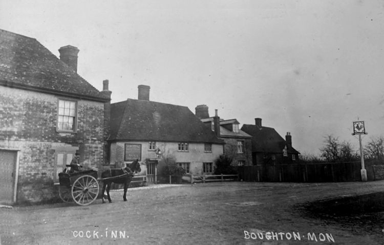 Cock 1904