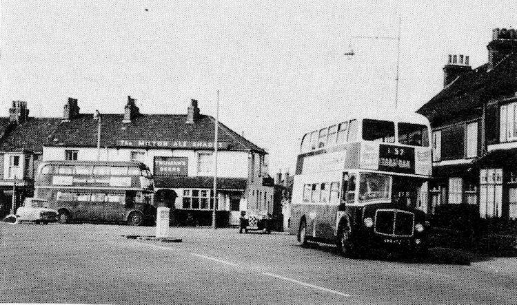 Milton Ale Shades 1965