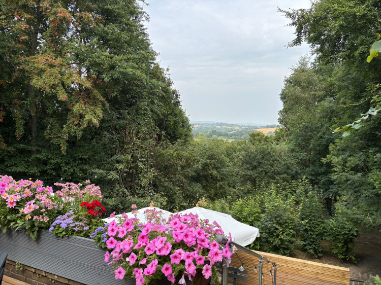 Spotted Dog garden 2025