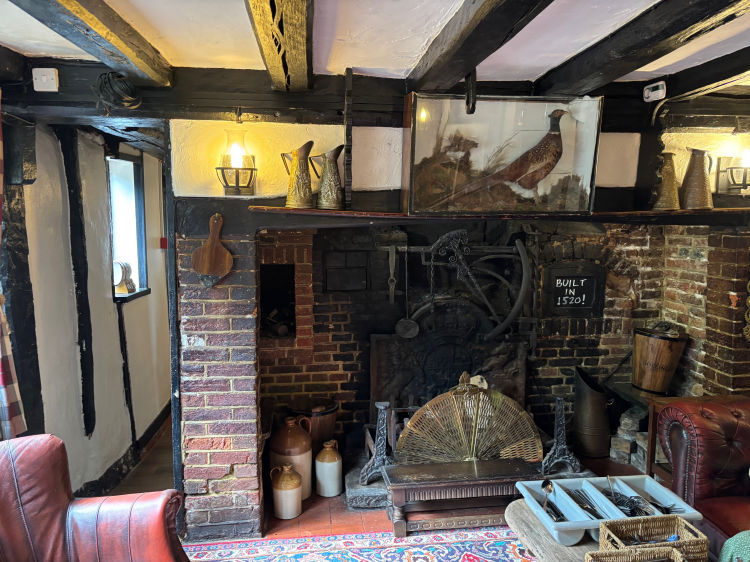 Spotted Dog inside 2025