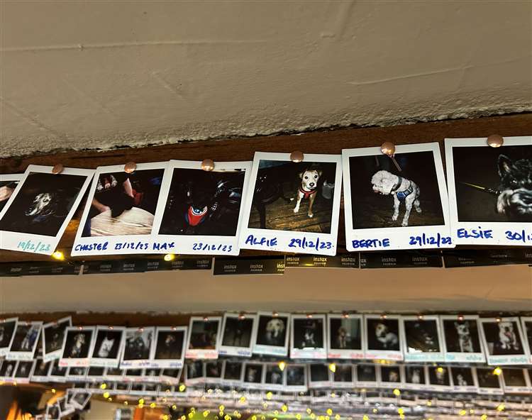 Thomas Becket polaroids