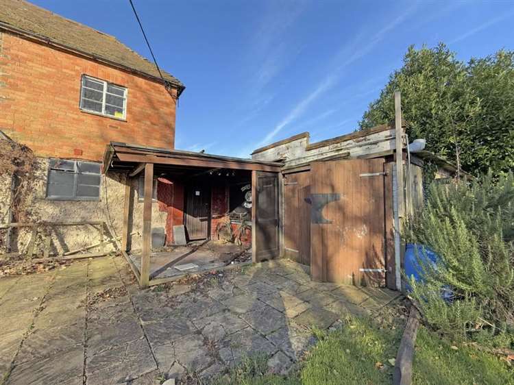 Timber Bats garden 2025