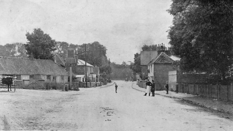 White Hart 1905
